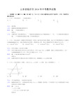 2014年山东省临沂市中考数学试卷(Word解析版)