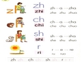 最新zhchshr教学课件