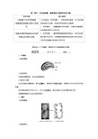 高中生物新浙科版必修1  其他细胞器、细胞溶胶及细胞骨架的功能 教案