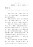 我的一次经历作文500字