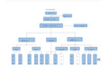 医药连锁公司组织架构图.doc