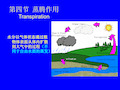 植物生理学：第四节  蒸腾作用