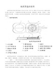 地质罗盘的使用方法