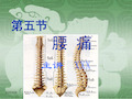 中医内科学第五节腰痛