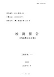 声波透射法桩基检测报告