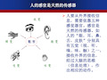 传感器与检测技术0绪论PPT课件