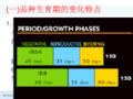 水稻栽培学PPT课件