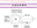 常见化疗药物顺序培训课件