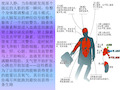 【新教材生物】《激素与内分泌系统》优质课件1