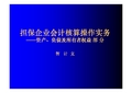 担保企业会计核算操作实务