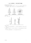 梨树纺锤形树形整形修剪方法(仅限借鉴)