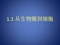 陕西省蓝田县焦岱中学人教版高中生物必修一11从生物圈到细胞课件(共36张PPT)