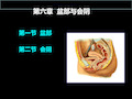 临床应用解剖盆部和会阴