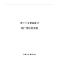 浙江工业建设项目可行性研究报告