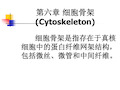 第六章++细胞骨架讲述