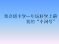 青岛版小学一年级科学上册《我的“小问号”》课件