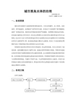 城市黑臭水体的治理