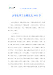 大学生学习总结范文3000字