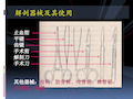 【课件-局部解剖学】_00 局部解剖学操作注意事项