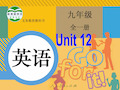 新人教版九年级英语Unit12全单元课件