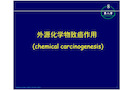 外源化学物致癌作用