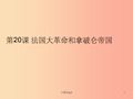 九年级历史上册 第六单元 资本主义制度的初步确立 第20课 法国大革命和拿破仑帝国课件4 新人教版