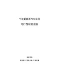 宁波新能源汽车项目可行性研究报告