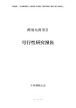 跨境电商项目可行性研究报告申请报告书