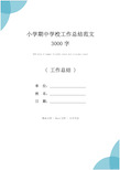 小学期中学校工作总结范文3000字