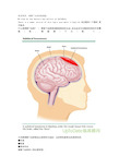 硬膜下血肿(基础篇)