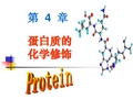 第四章蛋白质的化学修饰