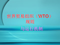 世界贸易组织规则与运行机制(WTO