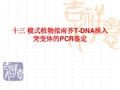 模式植物拟南芥T-DNA插入突变体的PCR鉴定