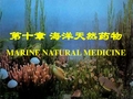 第十章 海洋天然药物