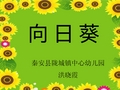 幼儿园大班美术课《向日葵》教学课件