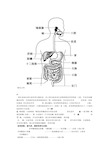 最新七年级下册生物图