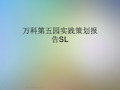 万科第五园实践策划报告SL