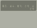 报告、请示、批复