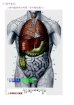 人体内脏最全解剖结构图