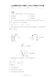 山东省聊城市莘县2020-2021学年九年级上学期期末化学试题 答案和解析