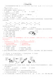 九年级上科学(浙教版)期中测试题及答案