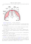 硬膜外血肿与硬膜下血肿鉴别