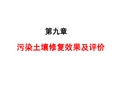 土壤修复课件污染土壤修复效果及评价