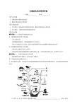 生物进化的历程导学案