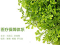 医疗保障体系-终极版_PPT课件