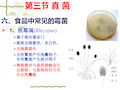 第二章微生物的形态和分类(5)