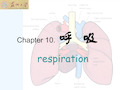 大学生理学-呼吸系统