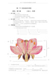 第一节-花的结构和类型复习总结课