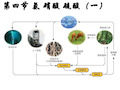 四节氨硝酸硫酸PPT参考课件