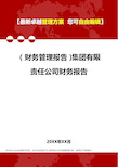 2020年(财务管理报告)集团有限责任公司财务报告